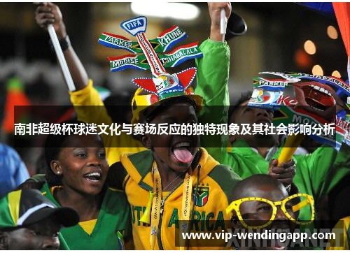 南非超级杯球迷文化与赛场反应的独特现象及其社会影响分析 南非超级杯球迷文化与赛场反应的独特现象及其社会影响分析