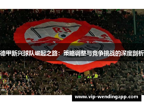 德甲新兴球队崛起之路：策略调整与竞争挑战的深度剖析