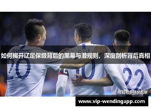 如何揭开辽足保级背后的黑幕与潜规则，深度剖析背后真相