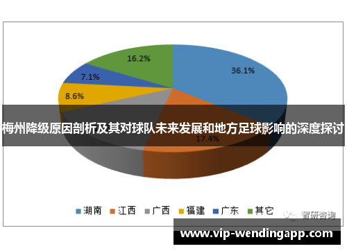梅州降级原因剖析及其对球队未来发展和地方足球影响的深度探讨