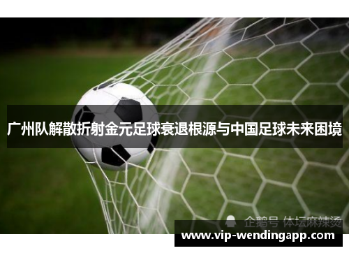 广州队解散折射金元足球衰退根源与中国足球未来困境 广州队解散折射金元足球衰退根源与中国足球未来困境