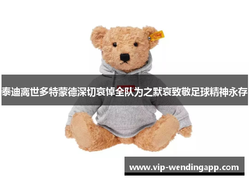 泰迪离世多特蒙德深切哀悼全队为之默哀致敬足球精神永存 泰迪离世多特蒙德深切哀悼全队为之默哀致敬足球精神永存