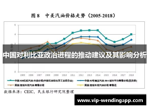 中国对利比亚政治进程的推动建议及其影响分析
