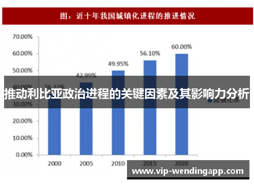 推动利比亚政治进程的关键因素及其影响力分析 推动利比亚政治进程的关键因素及其影响力分析