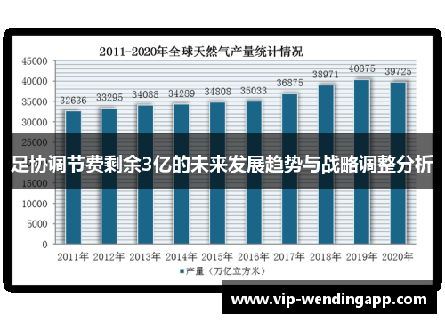 足协调节费剩余3亿的未来发展趋势与战略调整分析 足协调节费剩余3亿的未来发展趋势与战略调整分析
